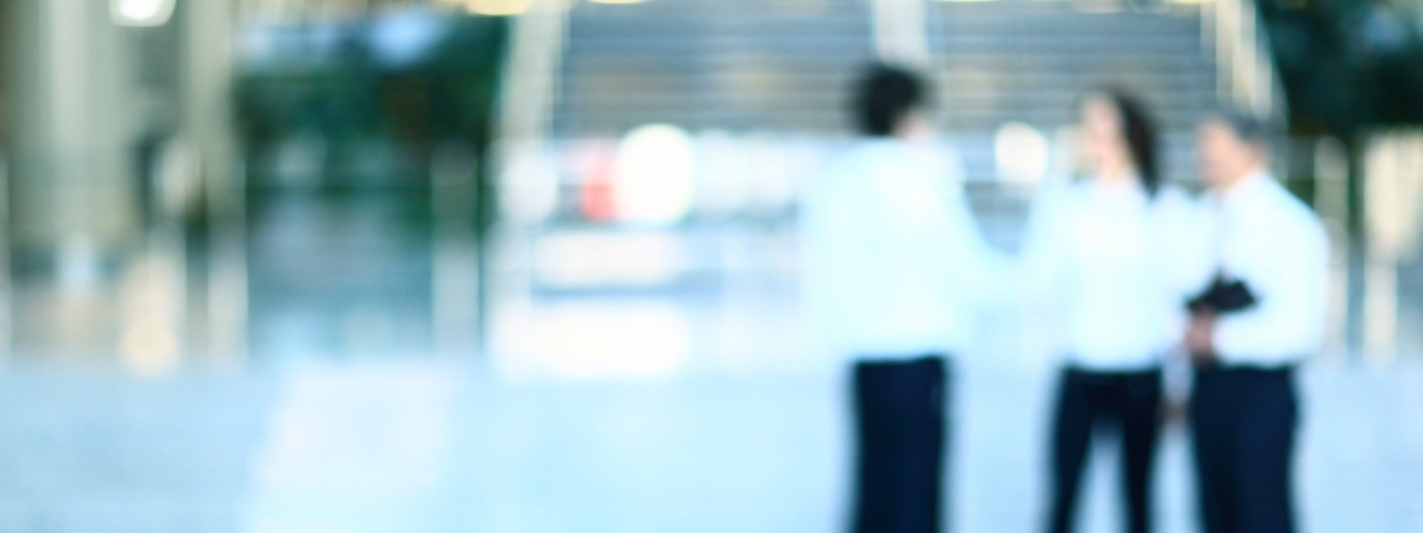 Meet the Team Holbrook Property Finance